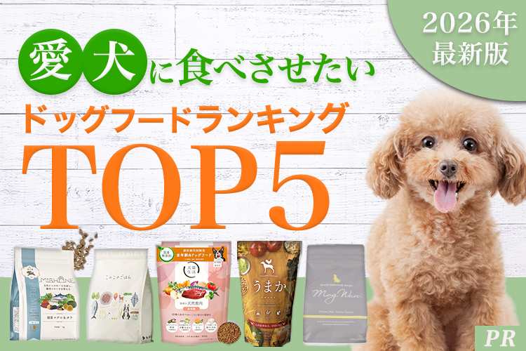 ドッグフードFV